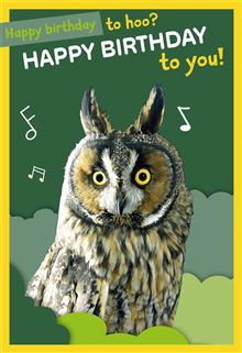Unisex Open Birthday Owel