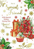 Special Friend Code 50 Christmas X 12