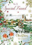 Special Friends Code 50 Christmas X 12