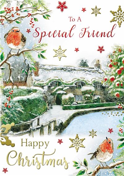 Special Friends Code 50 Christmas X 12